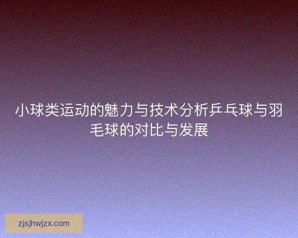 小球类运动的魅力与技术分析乒乓球与羽毛球的对比与发展