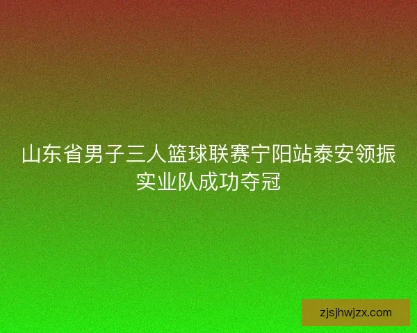 山东省男子三人篮球联赛宁阳站泰安领振实业队成功夺冠
