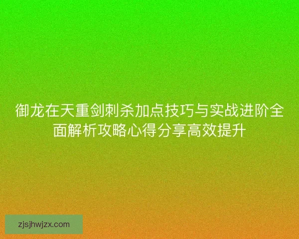 御龙在天重剑刺杀加点技巧与实战进阶全面解析攻略心得分享高效提升